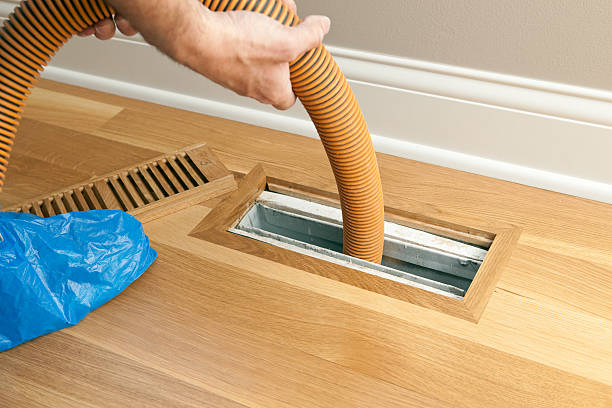 Best Ductwork Cleaning Services  in Red Lick, TX